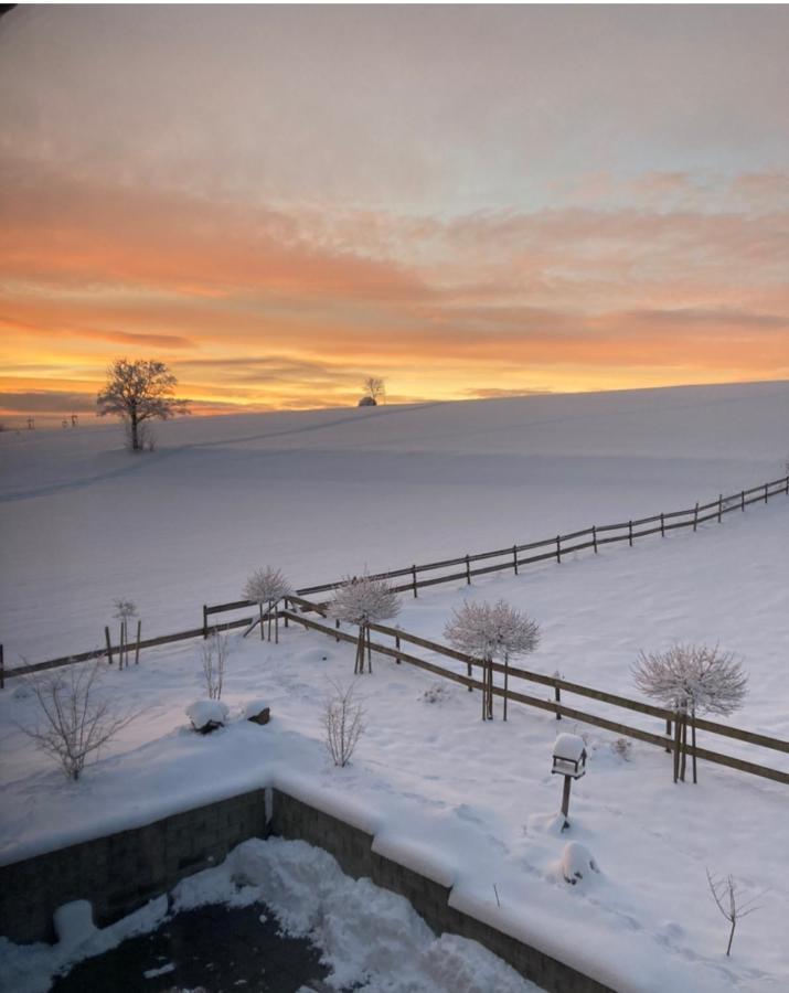 Landhotel Flora & Fauna (Adults Only) Винтерберг Екстериор снимка